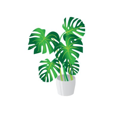 Ev yapımı şirin ev bitki bir güzel renkli tencerede.