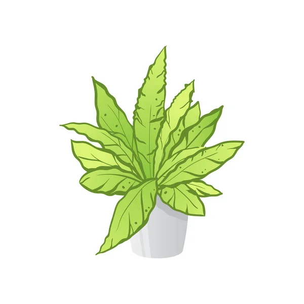 Planta casera linda casera en una olla colorida hermosa . — Vector de stock