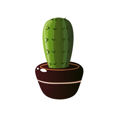 Ev yapımı şirin ev bitki bir güzel renkli tencerede.