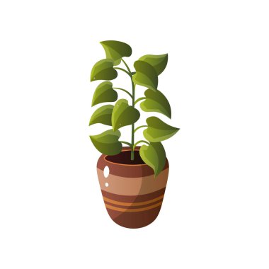 Ev yapımı şirin ev bitki bir güzel renkli tencerede.