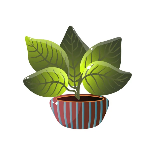 Maison plante maison mignonne dans un beau pot coloré . — Image vectorielle