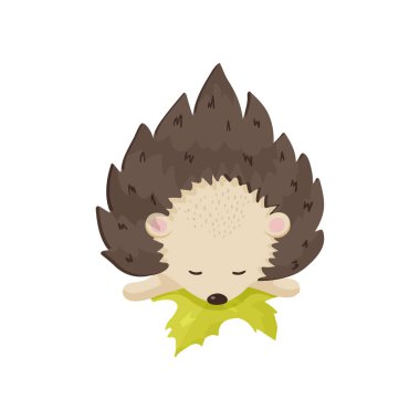 Küçük Kirpi yavrusu uyur, kafasını bir sarı yaprak üzerinde dinlenme. Yakın çekim açık izole üzerinde beyaz arka plan görüntülemek