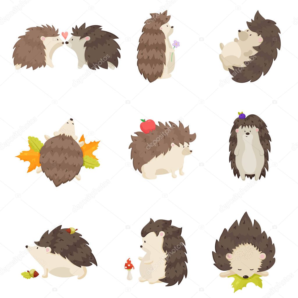 Set of cute hedgehogs in different poses and various emotions on a white background. Hedgehogs kiss, stand, sleep, lie, go, wallow. Hedgehogs with flower, blueberry, mushrooms, apples, leaves, acorns