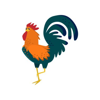 Çiftlik horoz, beyaz arka plan üzerinde izole horoz portre