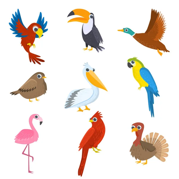 Conjunto de aves acuáticas silvestres, domésticas, tropicales, aisladas sobre fondo blanco — Vector de stock