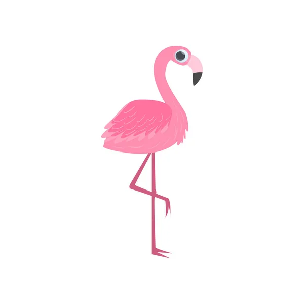 Velké růžové stojící na jedné noze tropické flamingo izolovaných na bílém pozadí. Boční pohled — Stockový vektor