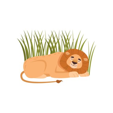 Büyük aslan beyaz arka plan üzerinde izole ot sleeping