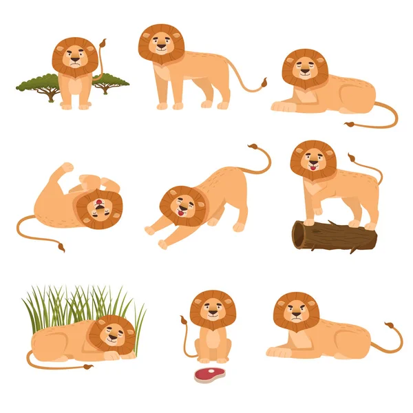 Set of lion in different actions isolated on white background — Stock Vector