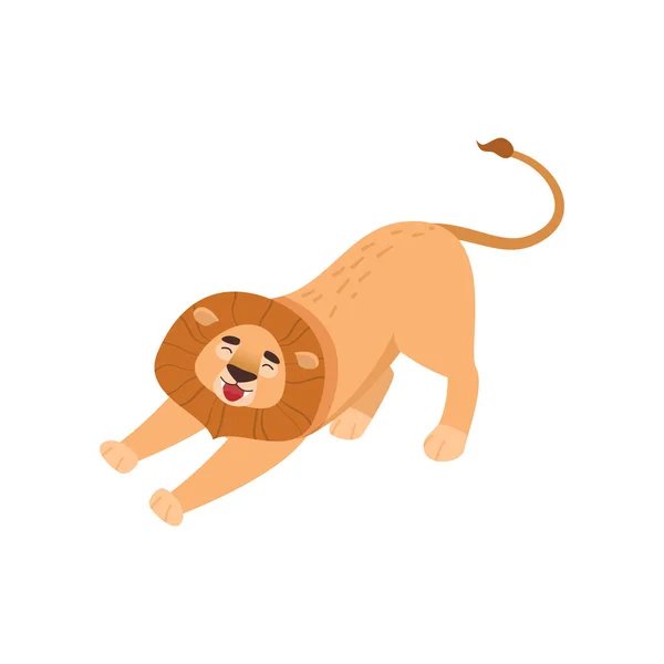 Büyük aslan germe ve beyaz arka plan üzerinde izole esneme — Stok Vektör