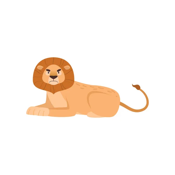 Leão grande com aparência desagradável deitado na pose real isolado no fundo branco —  Vetores de Stock