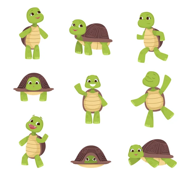 Set of cute green turtles with brown shell in various poses isolated on white background — Stock Vector