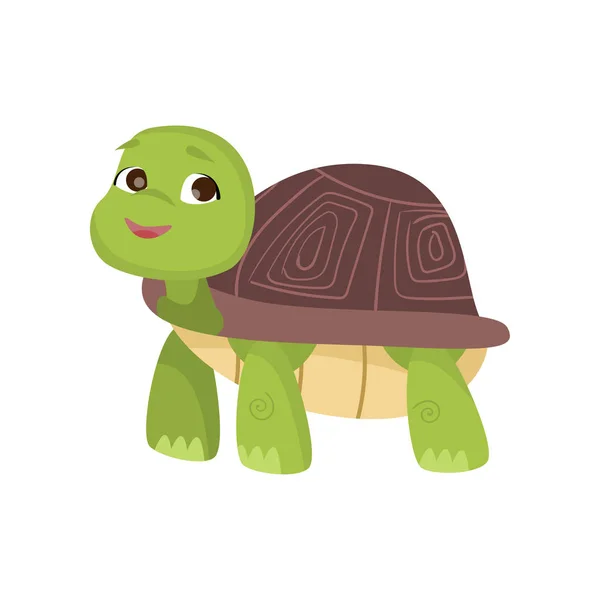 Linda tortuga está parada en cuatro patas mirando hacia arriba y sonriendo aislada sobre fondo blanco — Vector de stock
