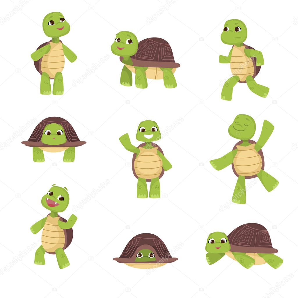 Set of cute green turtles with brown shell in various poses isolated on white background