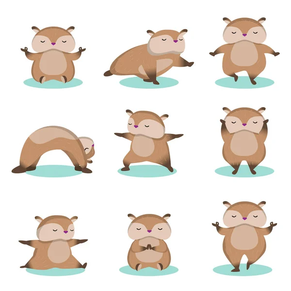 Set of little cute hamster doing relaxing exercise and meditating isolated on white background — Stock Vector