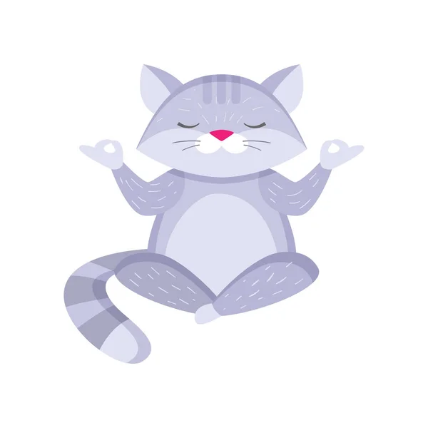 Cute raccoon sitting in lotus pose and meditating isolated on white background — Stock Vector