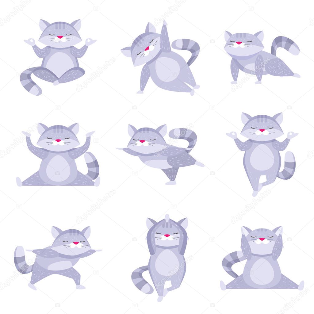 Set of cute raccoons doing relaxing exercise and meditating in different poses isolated on white background
