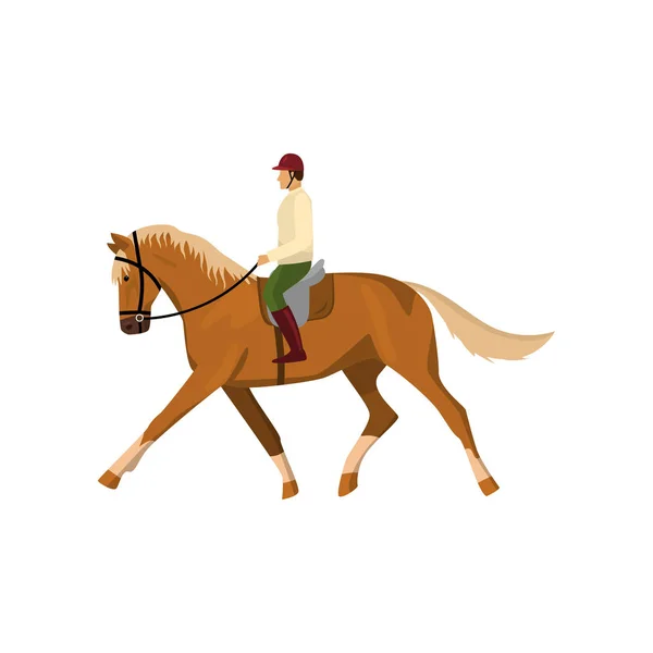 Hombre cabalgando caballo jogging marrón aislado sobre fondo blanco — Vector de stock