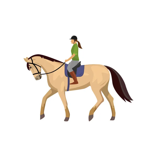 Horsewoman riding roan horse isolated against white background — Stock Vector