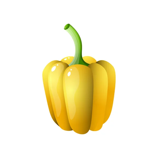 Κίτρινη πιπεριά πάπρικα που απομονώνονται σε λευκό φόντο — Διανυσματικό Αρχείο