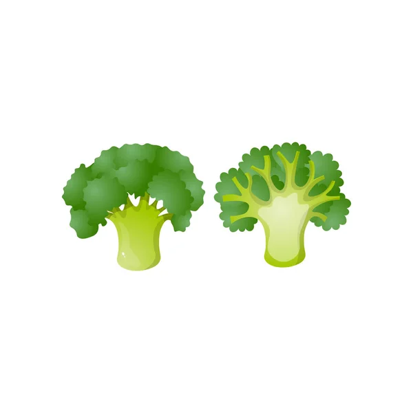 Icône de brocoli vert frais isolée sur fond blanc — Image vectorielle