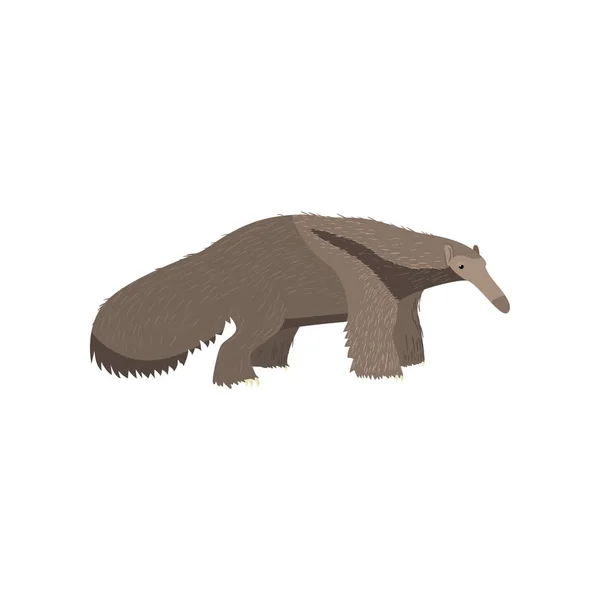 白い背景に分離されたリアルな anteater 透明 — ストックベクタ