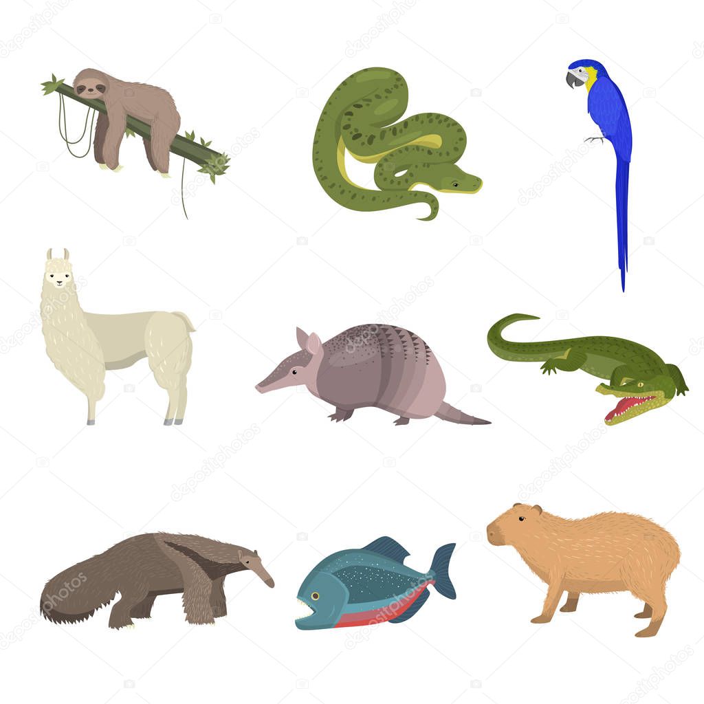 Set of wild south america animals, parrot and fish isolated on white background