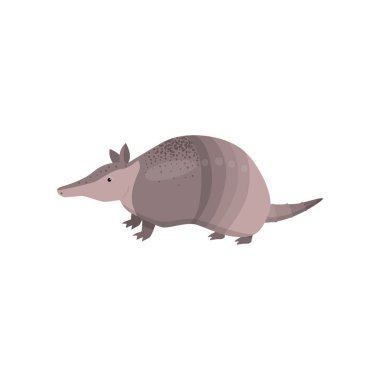 Şeritli Armadillo şeffaf beyaz arka planda izole