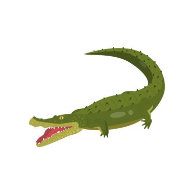 Beyaz arka planda izole gerçekçi gavial timsah