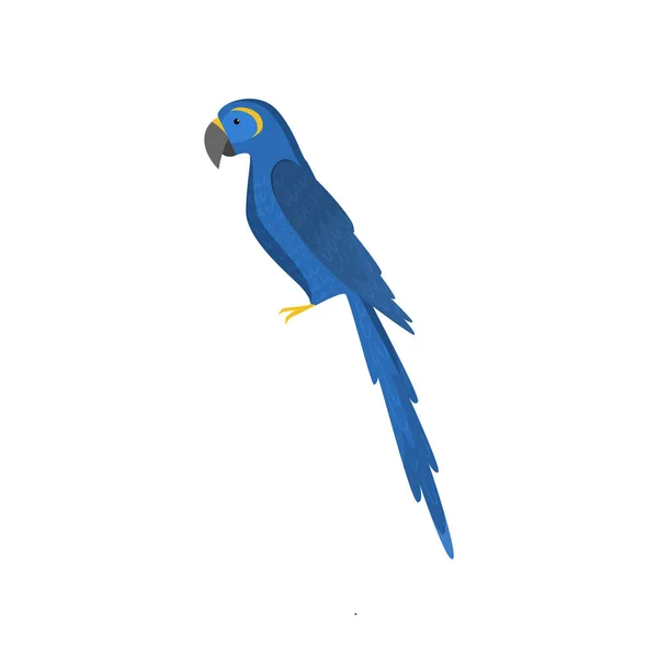 Modrý papoušek Macao izolovaný na bílém pozadí — Stockový vektor