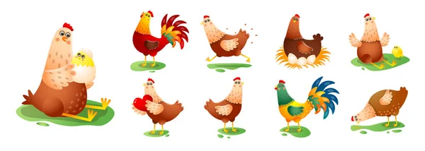 Chicken hen cock in different poses set isolated on white background — Stock Vector