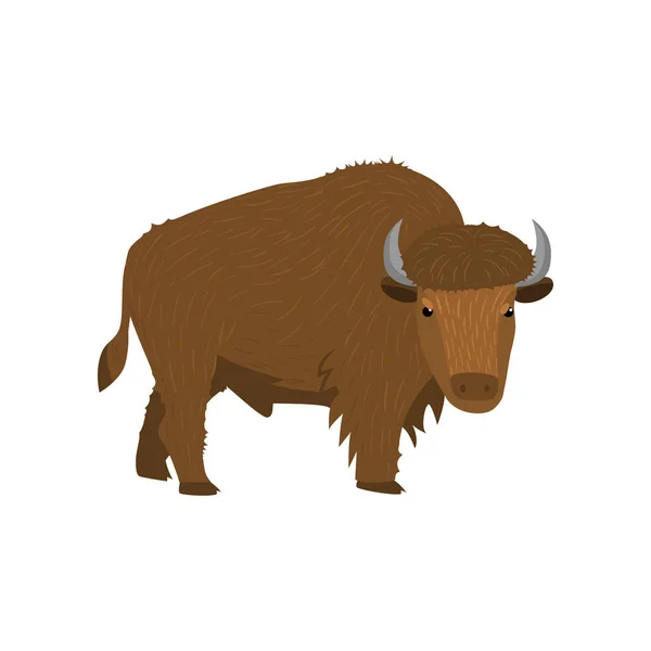 Big Brown bisonte americano de pie en el fondo blanco mirando al espectador — Vector de stock
