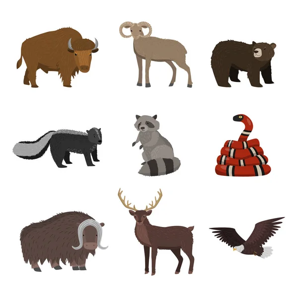 Zestaw dzikich zwierząt z Ameryki Północnej wyizolowanych na białym tle — Wektor stockowy
