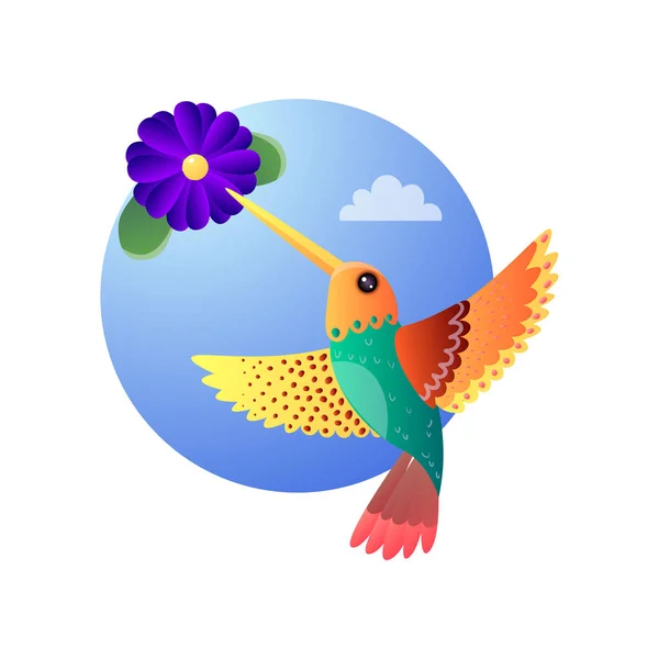 Colibris avec plumage de couleur volant et la collecte de nectar de fleurs exotiques fleuries — Image vectorielle