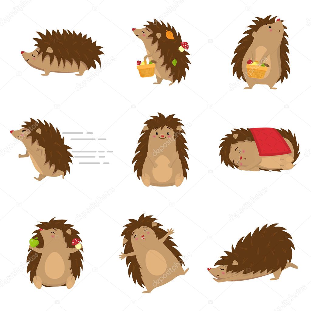 Cute hedgehogs in different poses set isolated on white background. Collection forest animals characters in cartoon style. Wildlife nature concept. Greeting cards