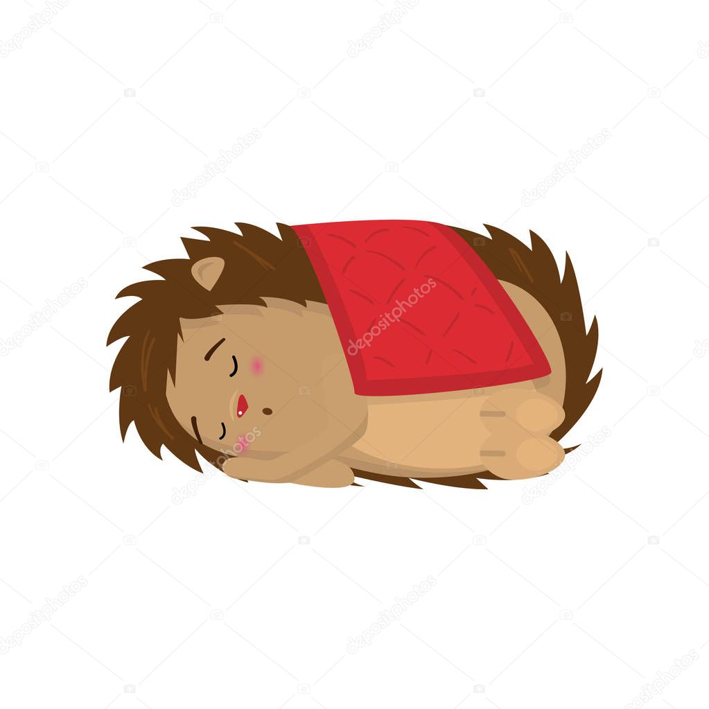 Cute hedgehog sleeping sweetly under red blanket isolated on white background