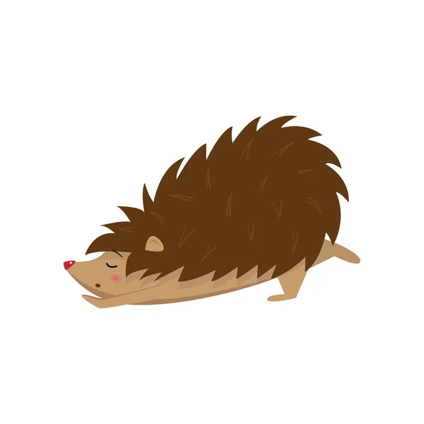 Cute hedgehog amusingly stretching isolated on white background — Stock Vector