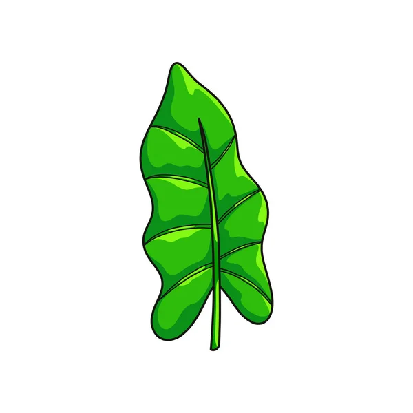 Folha de selva verde realista isolada no fundo branco — Vetor de Stock