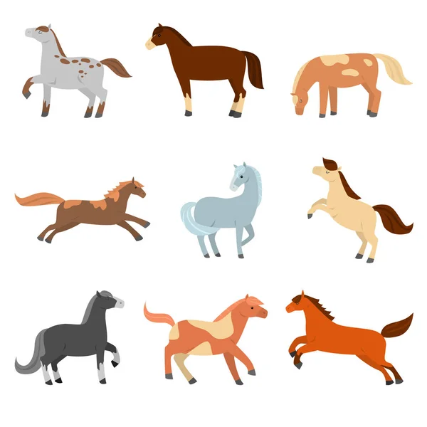 En uppsättning söta tecknade hästar av olika konfiguration, färg och färg. — Stock vektor