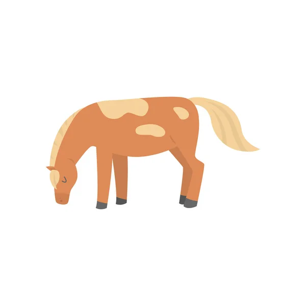 Bonito cavalo de desenho animado bonito. Cavalo gracioso de uma coloração excepcional . — Vetor de Stock
