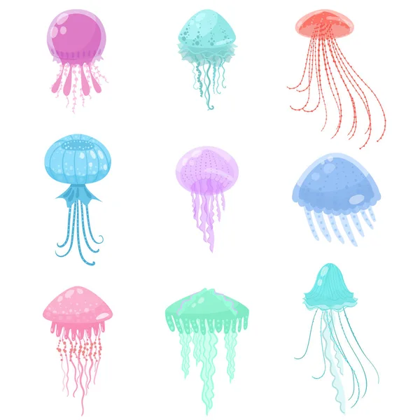 Állítsa be a színes tengeri és tengeri medúza tengeri lény — Stock Vector