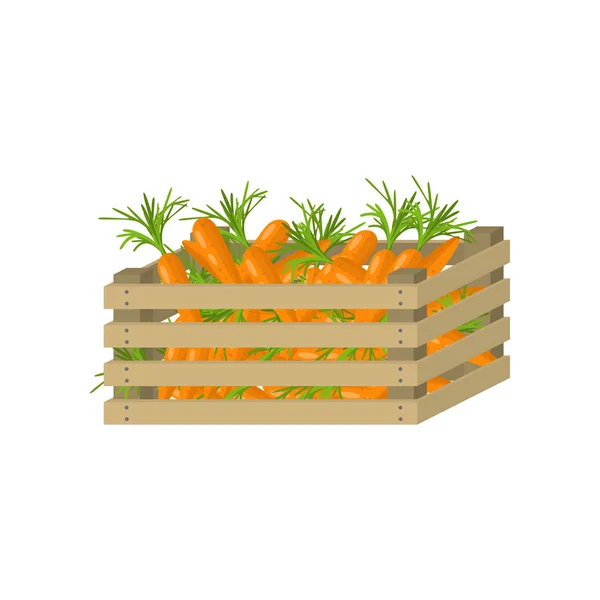 Boîte complète en bois de carotte de jardin frais et écologique — Image vectorielle