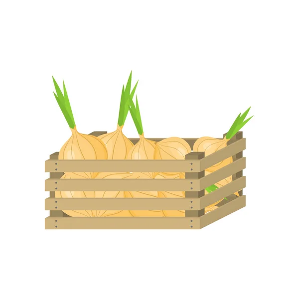 Boîte complète en bois de végétalien, oignon de jardin à vendre — Image vectorielle