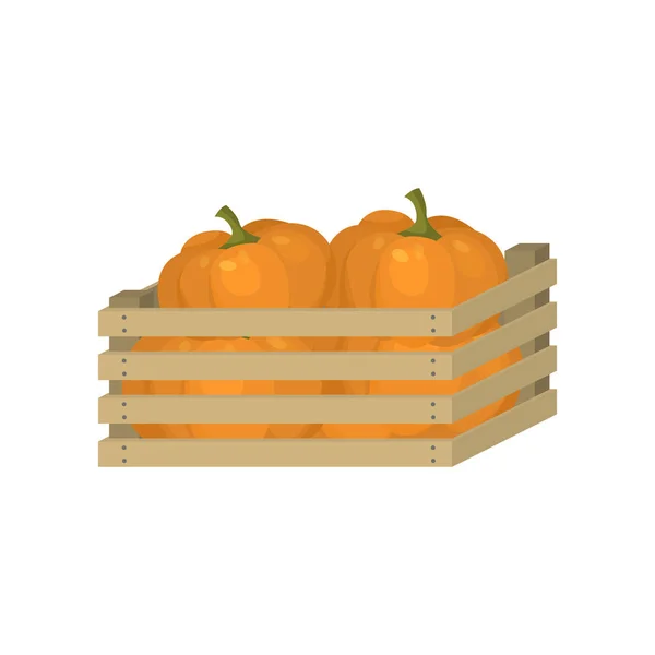 Orange, citrouille fraîche du jardin à la maison en boîte en bois — Image vectorielle