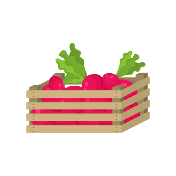 家庭で食べるための赤い庭大根の木箱 — ストックベクタ