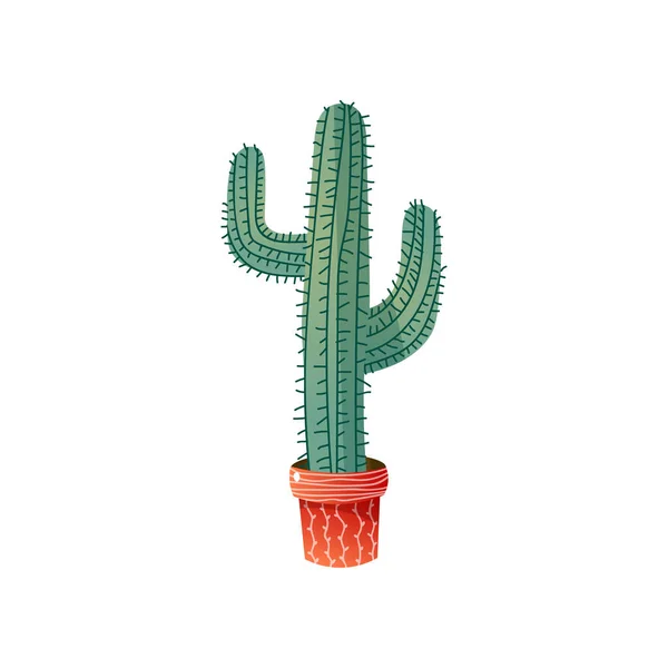 México cactus en maceta para casa decoración verde exterior — Vector de stock