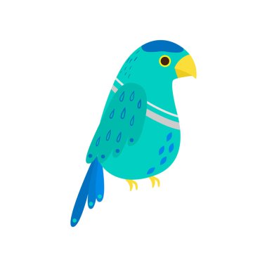 Tropikal sevimli Kea papağan, egzotik renkli türler