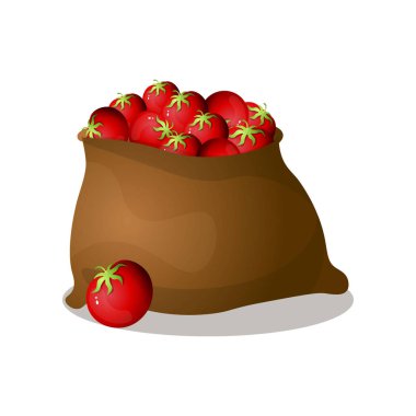 Taze, doğal, kırmızı domates Kahverengi tekstil çuval