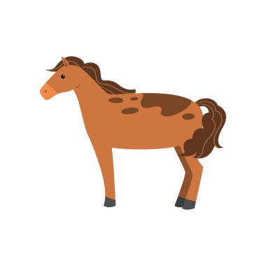 Sevimli kahverengi at sakin kalmak ve yiyecek bekliyor