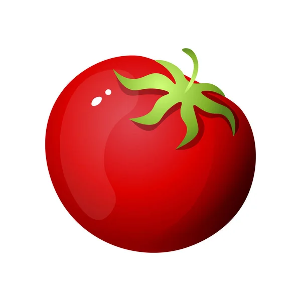 Czerwony pomidor ekologiczny, na smaczne sałatki lub przygotowanie grilla — Wektor stockowy