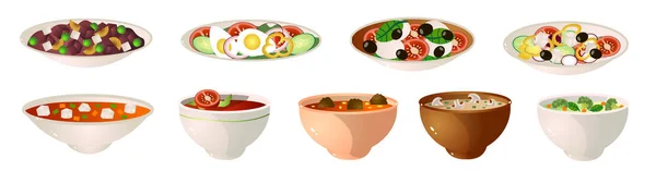 Ensemble de plats végétaliens ou salade végétalienne différente dans des assiettes — Image vectorielle